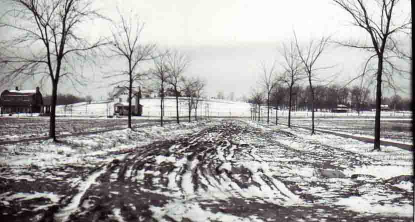 1928 135 119 Brookside from Meadow La